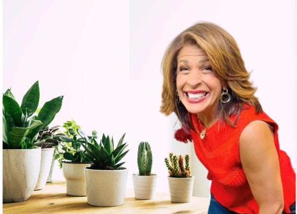 Hoda Kotb Net Worth, Ex-Husband Burzis Kanga, Age, Children